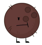 Coconut; Ender