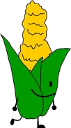 Rc Corn Cob