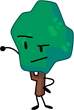 Spruce Tree