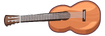 A guitar (TPOT 15, Pan Flute's prize)