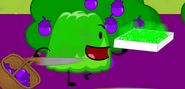 Gelatin holding a tray of acid spitballs.