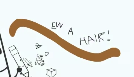 Hidden Or Brief Messages Battle For Dream Island Wiki Fandom
