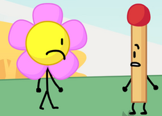 Match and Flower.png