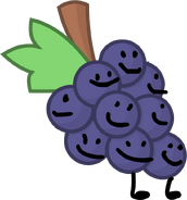 Grapes; Elx8 G.