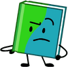 Book in BFB 11