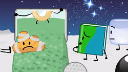 AYO WHY HAS NOBODY SEEN THIS IMAGE ON THE BFDI WIKI? : r/BattleForDreamIsland