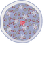 Molecular Structures (TPOT 3)