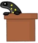 9body newtpot.png (33 KB) Newt Pot