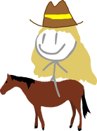 Cowgirl27733 - Nicole the Cowgirl