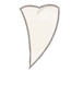 Fang