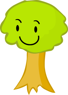 Bfdi19