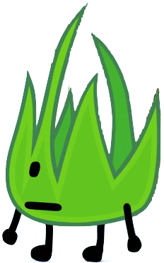 wallpapers How Old Is Grassy Bfb battle for dream island wiki
