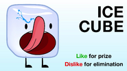 Ice Cube's ugly face in the BFDIA 11 voting video.
