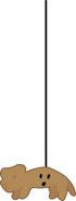 Piñata; OxygenWilbur