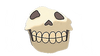 Yellow Face's skull