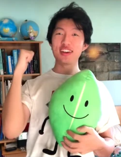 pic Leafy Plush Prototype plushes battle for dream island wiki