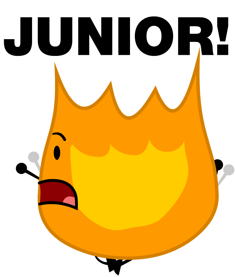 bfdi fiery jr