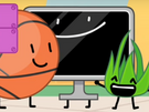 TV with Basketball and Grassy