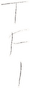 TFI