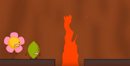 Geyser