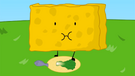 BFDI 15 Spongy 11