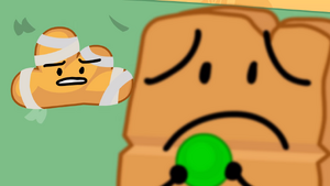 Battle For Dream Island Wiki - Woody Bfdi, HD Png Download - 1898x2032(#6743293) - PngFind