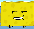 BFB29Sponge3