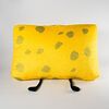 Back of the Spongy Plush as seen on the BFDI website