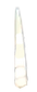 Narwhal Tooth