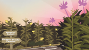 The Pleasant Peachy Paradise