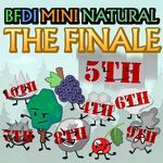 Seashell eliminated at 6th place in the BFDI Mini Natural finale promo post