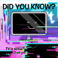 "A collection of BFDI "Did You Know?" posts, in all their glory. (5/5)