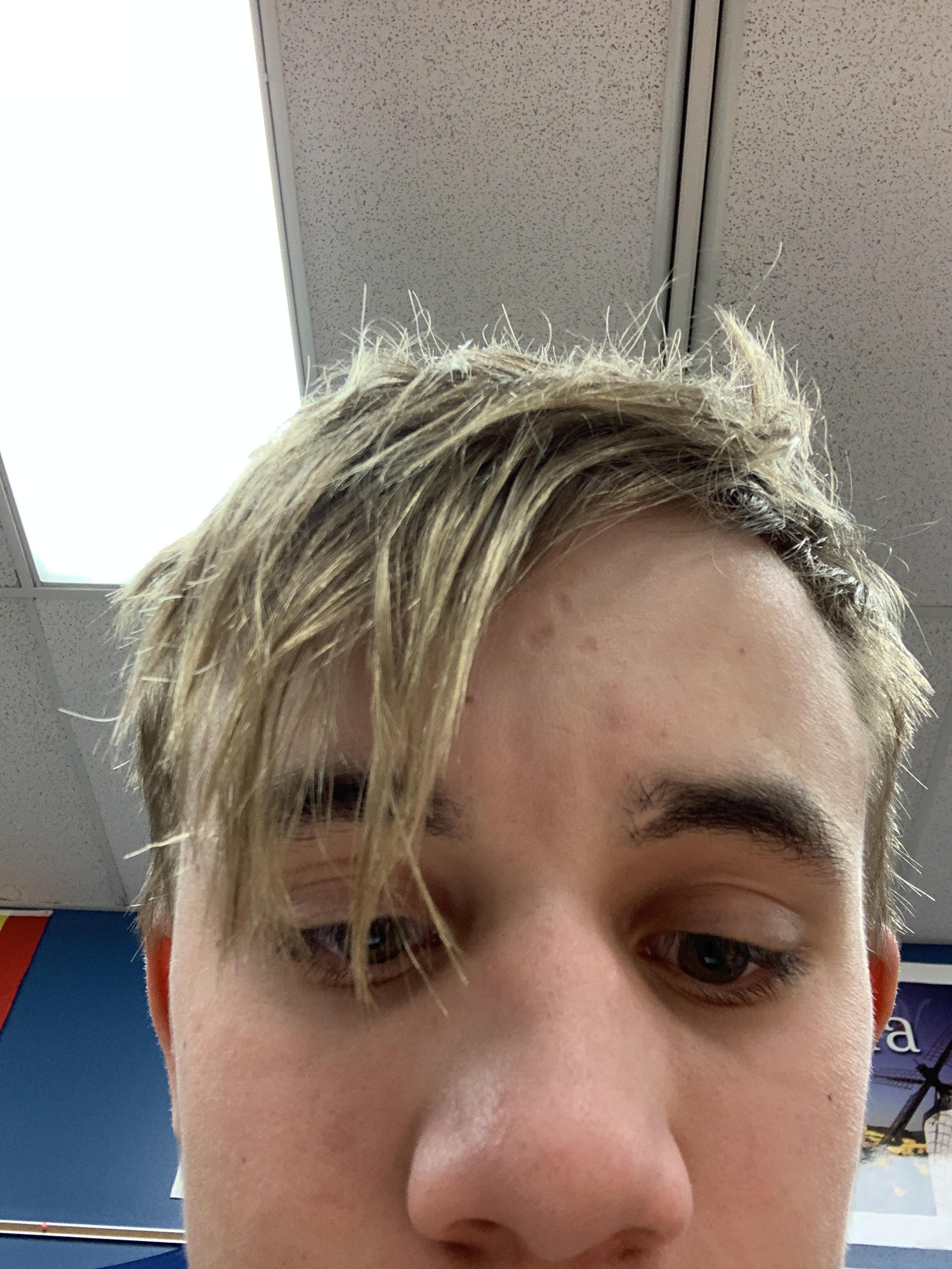 User Blog Nebraskaseemsnice Face Reveal Battle For Dream Island Wiki Fandom User Blog Nebraskaseemsnice Face Reveal Battle For Dream Island Wiki Fandom