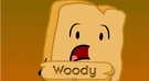 Woody's Promo Pic.png (72 KB)
