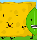 BFDI 16 Spongy 5