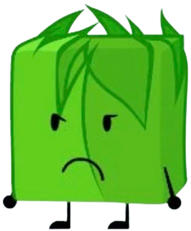 Blocky in grass
