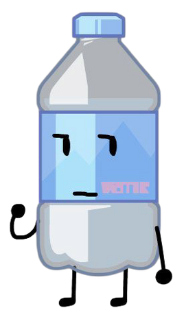 Plastic bottle