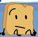 BFB 29 Woody 2.png (54 KB)