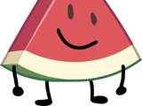 Watermelon Slice