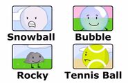 Vote for Snowball, Bubble, Rocky and Tennis Ball