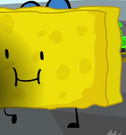 16spongy9