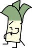 Leek