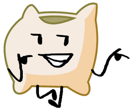 BFB 15 Sacky