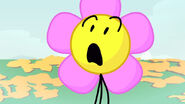 Shocked Flower