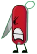 Swiss Army Knife; LeatherChicken