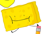 IDFB 1 Spongy 1