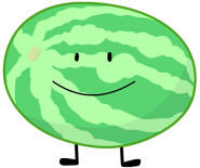 Watermelon; wifishark