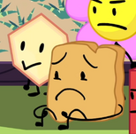 Woody and Loser.png