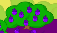 A bunch of Yoyleberries