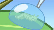 Freesmart hydrating the caterpillar